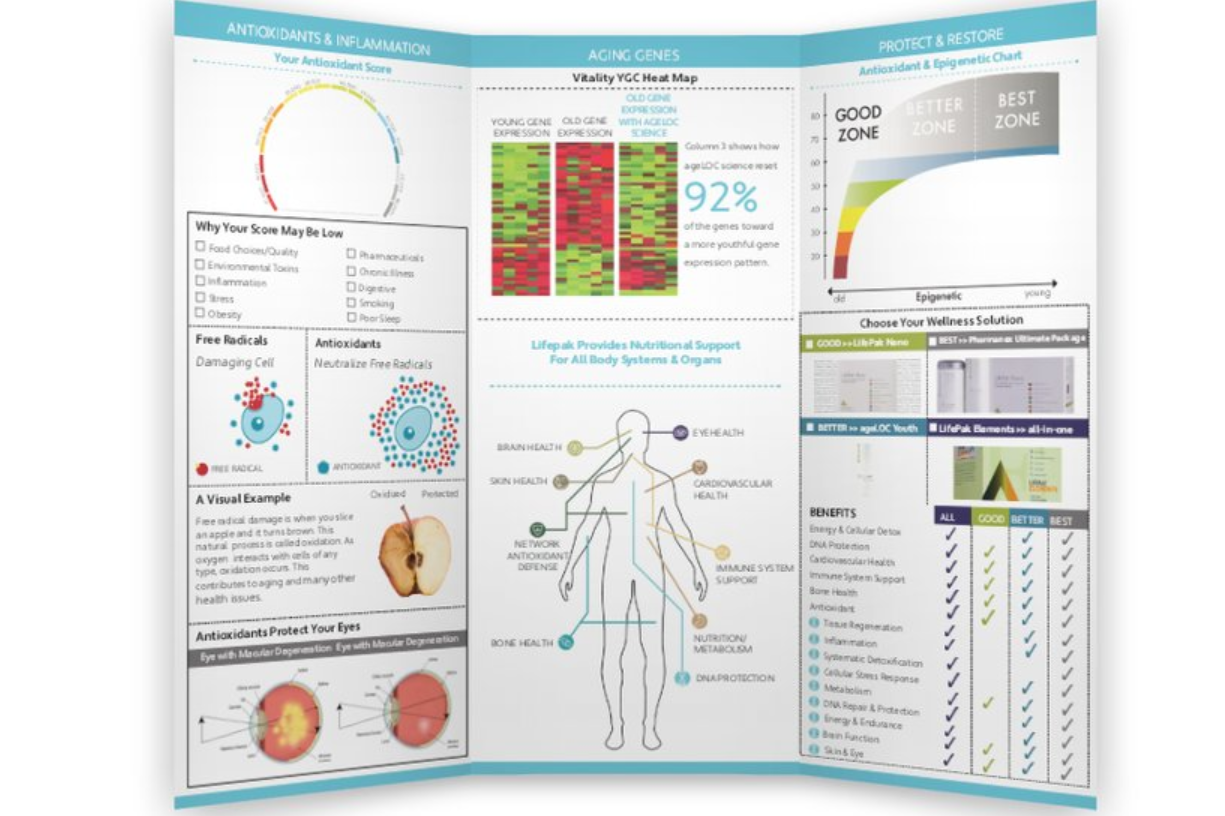 Your Wellness Plan Brochure