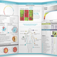 Your Wellness Plan Brochure